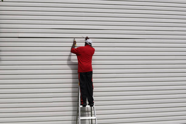 Professional Siding in Rifle, CO